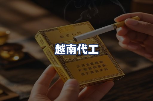 越南代工
